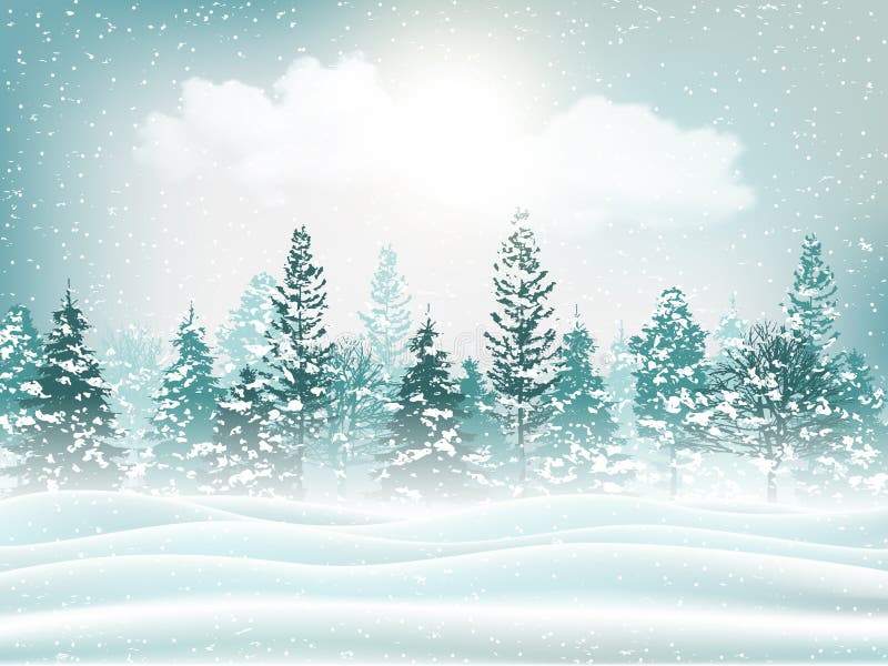 Beautiful holiday winter landscape background. Snowy field and conifer forest. Christmas backdrop. Vector illustration. Beautiful holiday winter landscape background. Snowy field and conifer forest. Christmas backdrop. Vector illustration