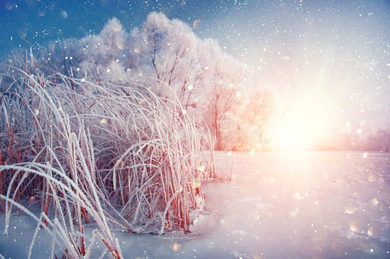Härlig bakgrund för vinterlandskapplatsen med snö täckte träd och den med is floden arkivbilder Härlig bakgrund för vinterlandskapplatsen med snö täckte träd och den med is floden arkivbilder