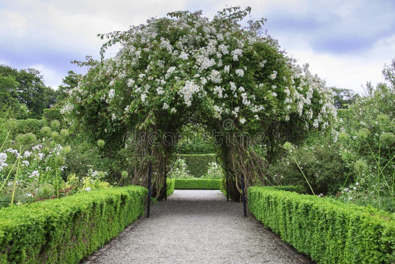 Härlig båge som bildas av blommor royaltyfria bilder Härlig båge som bildas av blommor royaltyfria bilder