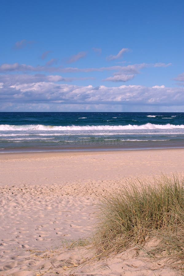 Vackra guldkuster royaltyfri fotografi