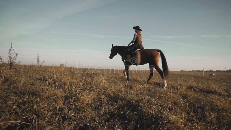 Härlig cowgirlridninghäst i bakgrundssoluppgångfält Ung kvinna på hästen