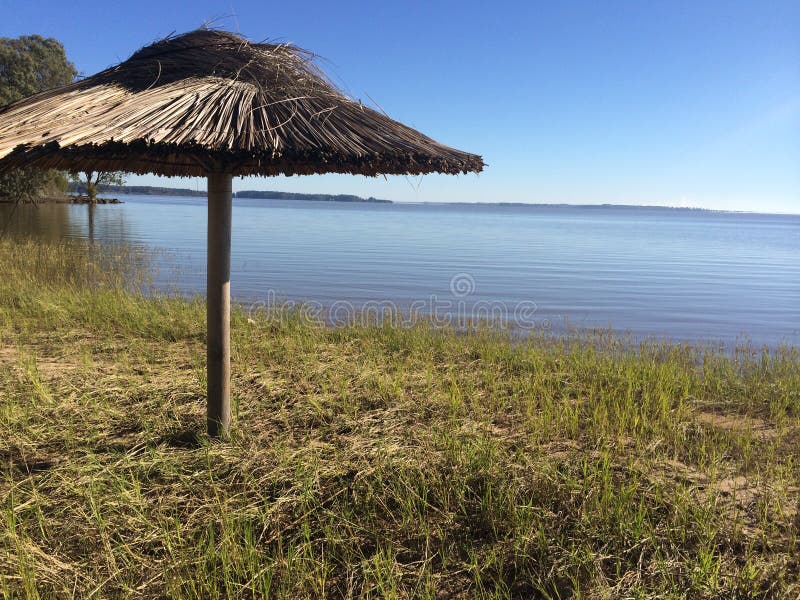 Härlig dag på evergladesna arkivbild Härlig dag på evergladesna arkivbild