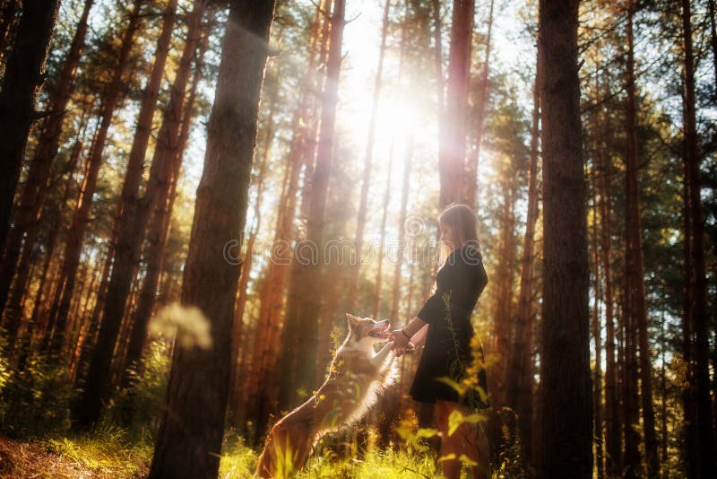 Härlig flicka i klänning i skogen med hennes hund som hoppar och spelar royaltyfria foton Härlig flicka i klänning i skogen med hennes hund som hoppar och spelar royaltyfria foton
