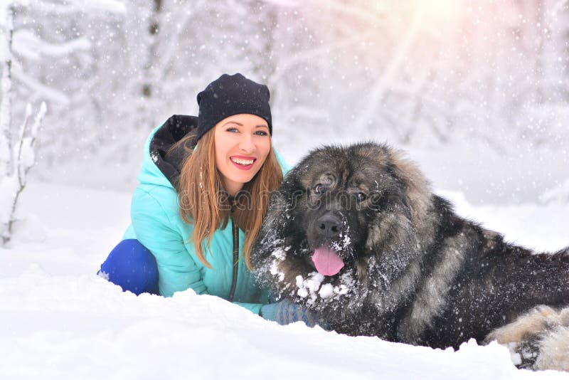 Härlig flicka med hennes utomhus- stora hund arkivbild
