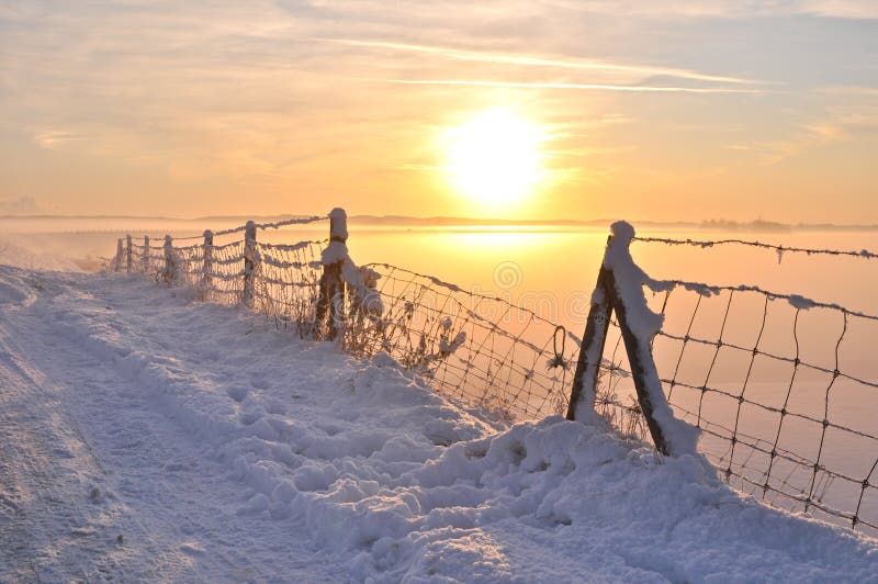 härlig holland vinter arkivbild härlig holland vinter arkivbild