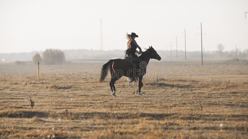 Härlig kvinnaridninghäst med hunden på soluppgångfältet Ung cowgirl på hästen
