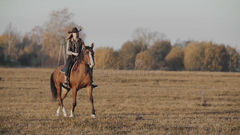 Härlig kvinnaridninghäst på soluppgång i fält Cowgirl på den bruna hästen