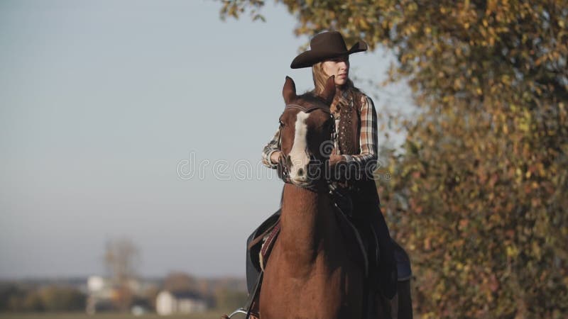 Härlig kvinnaridninghäst på soluppgång i fält Ung cowgirl på den bruna hästen