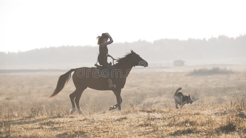 Härlig kvinnaridninghäst på soluppgångfältet Ung cowgirl på den bruna hästen