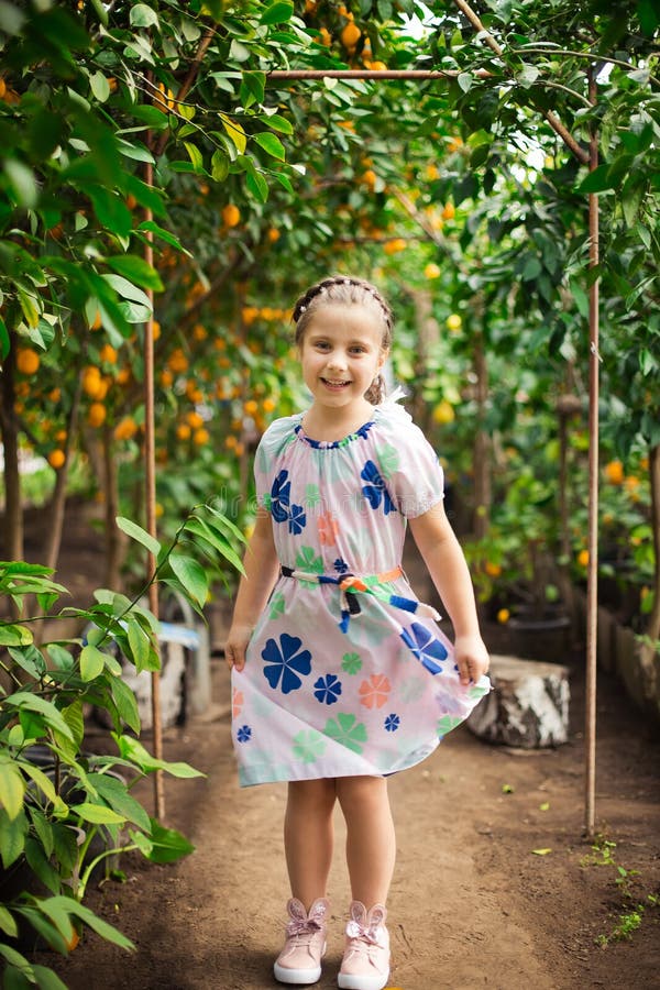Härlig liten lycklig flicka i färgrik klänning i citronträdgården Lemonarium som väljer nya mogna citroner i hennes korg arkivbilder Härlig liten lycklig flicka i färgrik klänning i citronträdgården Lemonarium som väljer nya mogna citroner i hennes korg arkivbilder
