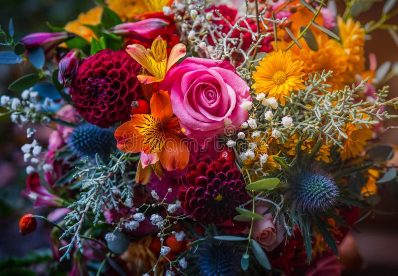 Härlig, livlig färgrik blandad blommabukett royaltyfri bild