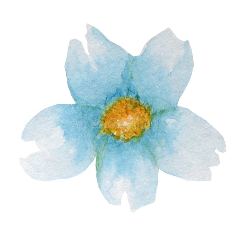 Härlig ljus blå vattenfärgblomma bakgrund isolerad white royaltyfri illustrationer Härlig ljus blå vattenfärgblomma bakgrund isolerad white royaltyfri illustrationer