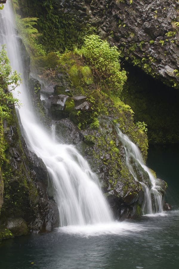 härlig maui vattenfall arkivbilder härlig maui vattenfall arkivbilder