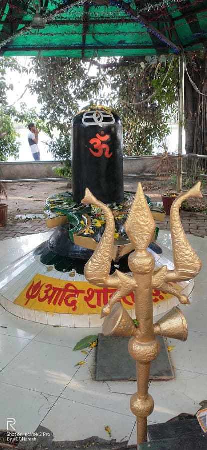 Härlig natur, färgglad fjäril, Indien, chhattishgarh, raipur arkivfoton Härlig natur, färgglad fjäril, Indien, chhattishgarh, raipur arkivfoton