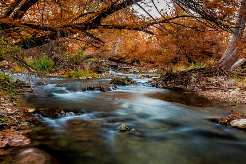 Härlig nedgånglövverk på den silkeslena Guadalupe River, Texas arkivbilder