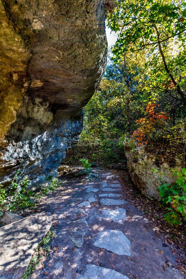 Härlig nedgånglövverk på en slinga på Hamilton Creek, Texas royaltyfri foto