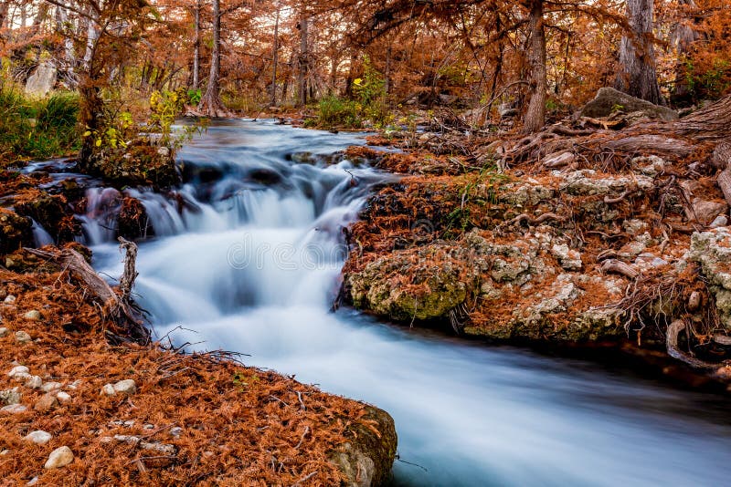 Härlig nedgånglövverk på Guadalupe River, Texas royaltyfria foton