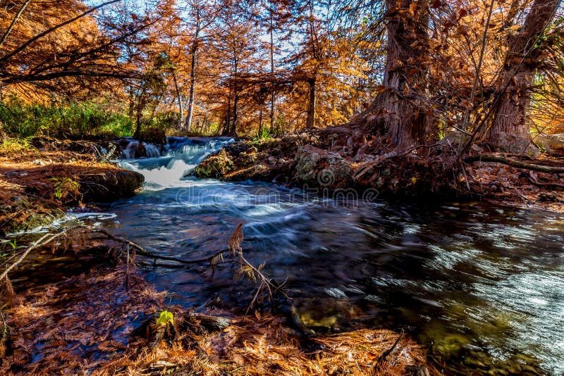 Härlig nedgånglövverk på Guadalupe River, Texas royaltyfri foto