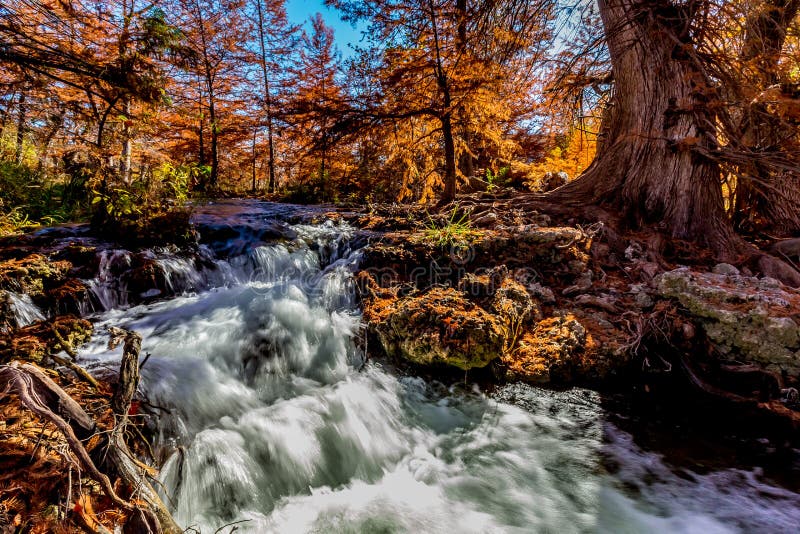 Härlig nedgånglövverk på Guadalupe River, Texas royaltyfria bilder