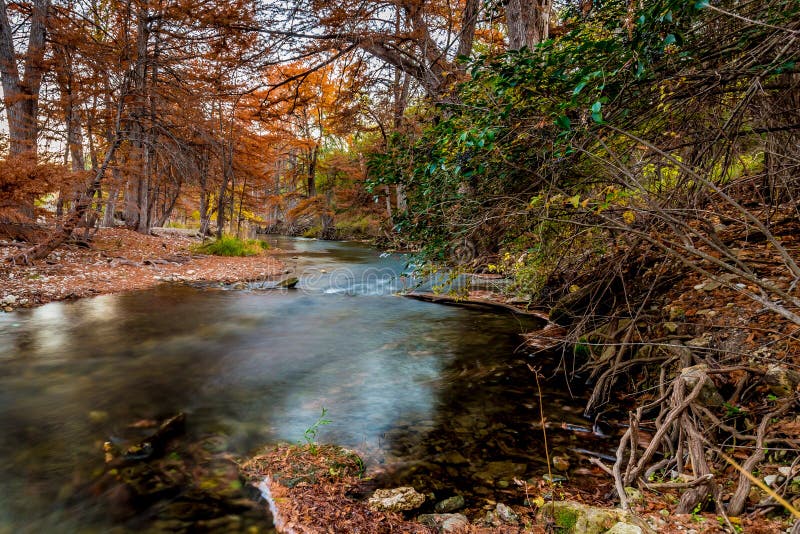 Härlig nedgånglövverk på Guadalupe River, Texas arkivfoto