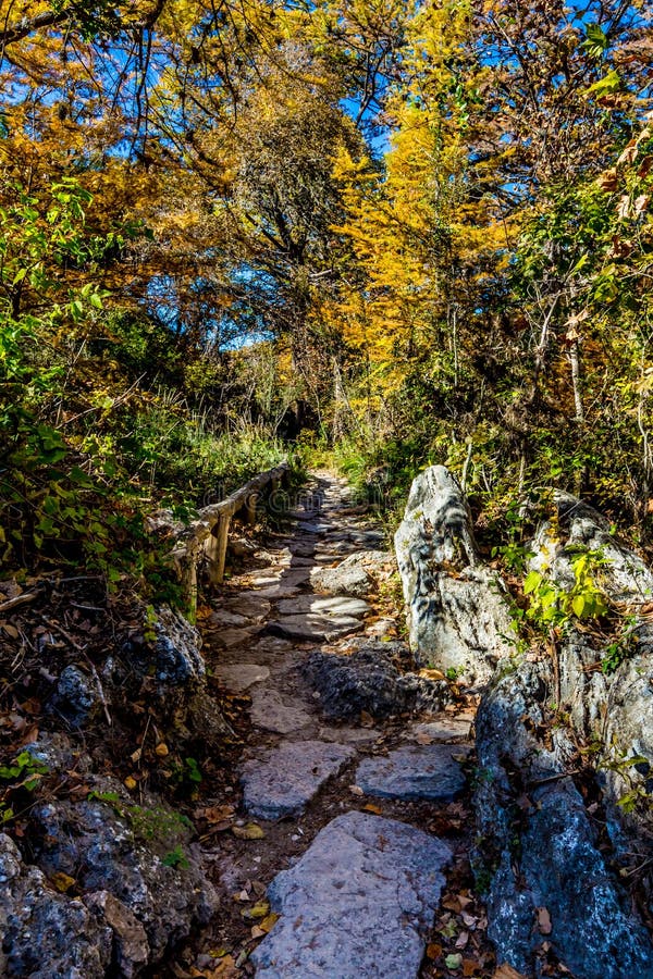 Härlig nedgånglövverk på Hamilton Creek, Texas arkivbilder
