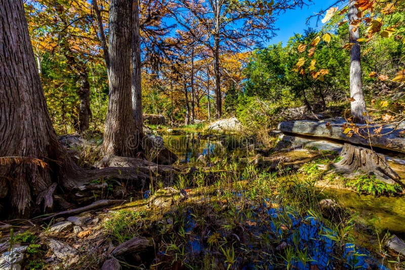 Härlig nedgånglövverk på Hamilton Creek, Texas arkivbild