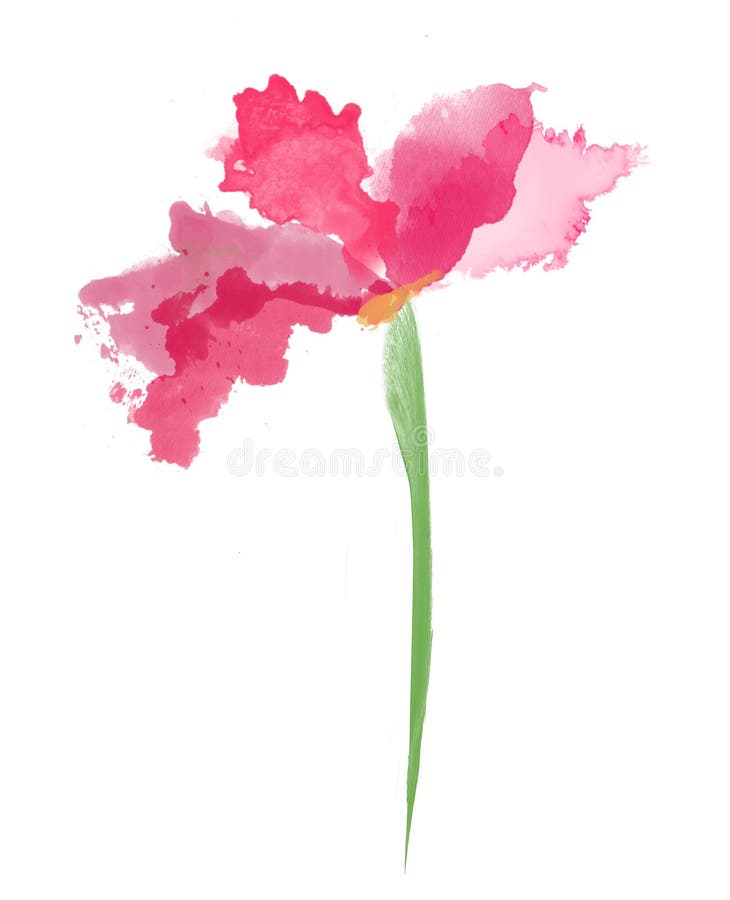 Härlig rosa färgblomma, vattenfärgmålning vektor illustrationer Härlig rosa färgblomma, vattenfärgmålning vektor illustrationer