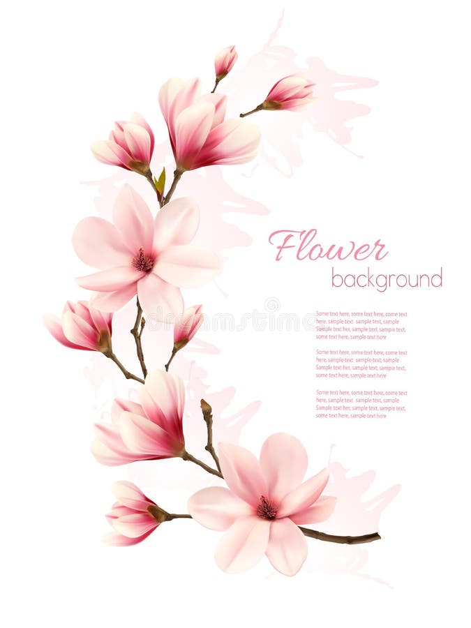 Härlig rosa magnoliabakgrund royaltyfri illustrationer