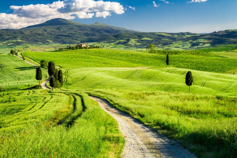 Härlig sikt av banan mellan fälten i Tuscany royaltyfri foto Härlig sikt av banan mellan fälten i Tuscany royaltyfri foto