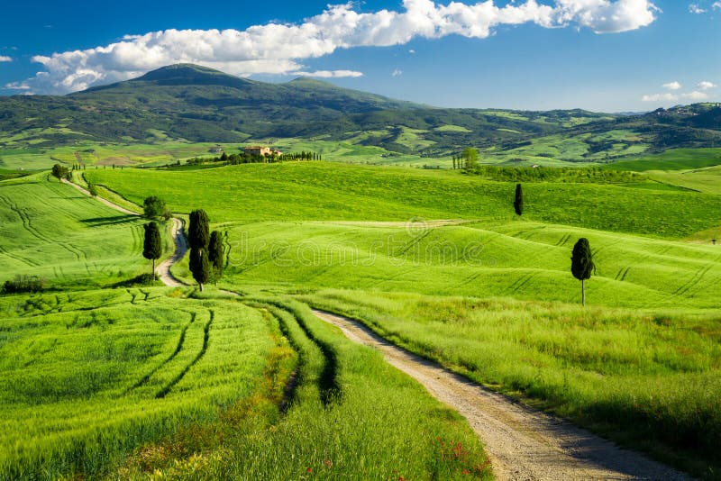 Härlig sikt av banan mellan fälten i Tuscany royaltyfri foto Härlig sikt av banan mellan fälten i Tuscany royaltyfri foto