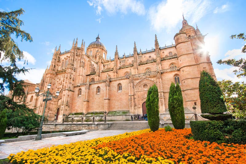 Härlig sikt av domkyrkan av Salamanca, Leon region, Spanien arkivbilder
