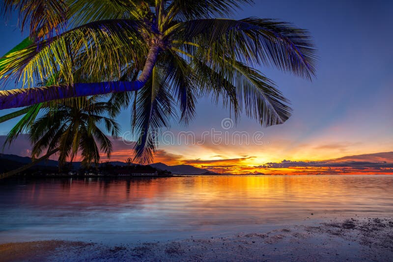 Härlig solnedgång med kokosnötpalmträdet på stranden i kohsamuien Thailand arkivbild Härlig solnedgång med kokosnötpalmträdet på stranden i kohsamuien Thailand arkivbild