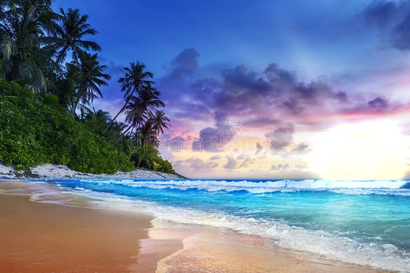 Härlig solnedgång på en hawaiansk ö colors vibrerande royaltyfri bild