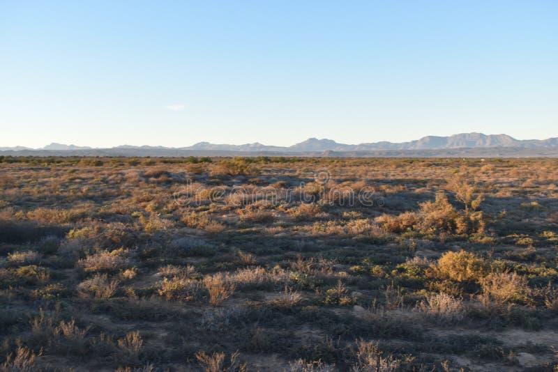 Härlig solnedgång på vägen till det Meerkat affärsföretaget i Oudtshoorn, liten Karoo i Sydafrika royaltyfri fotografi Härlig solnedgång på vägen till det Meerkat affärsföretaget i Oudtshoorn, liten Karoo i Sydafrika royaltyfri fotografi