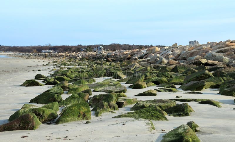 Härlig tidig vårsikt av den Duxbury stranden arkivbilder Härlig tidig vårsikt av den Duxbury stranden arkivbilder