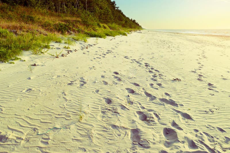 Härlig tom baltisk strand med fotspår i sand Scenisk pittoresk sommarseascape Östersjön kust, Polen arkivfoto