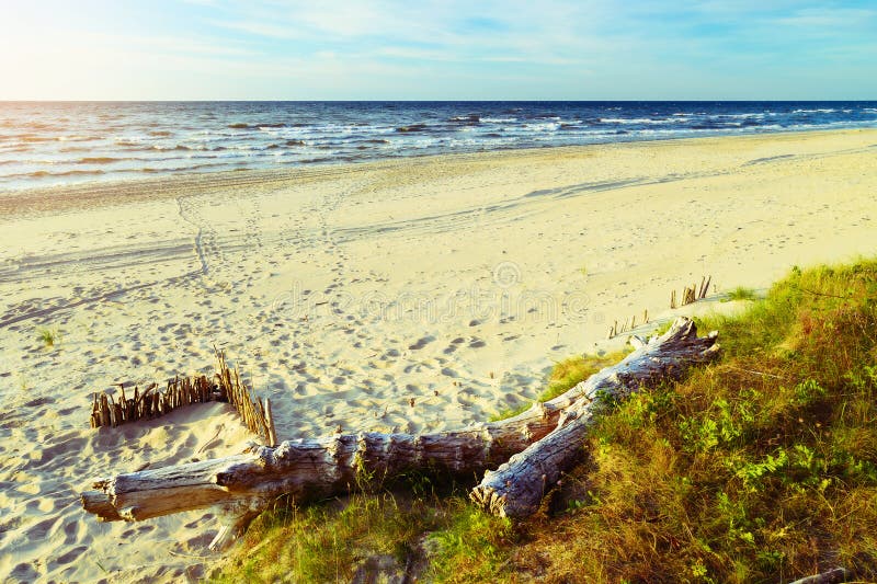 Härlig tom baltisk strand Scenisk pittoresk sommarseascape fotografering för bildbyråer