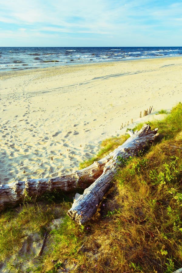Härlig tom baltisk strand Scenisk pittoresk sommarseascape royaltyfria foton