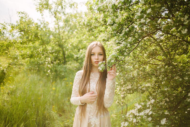 Vacker ung flicka i en blommande syrenbuske royaltyfri foto