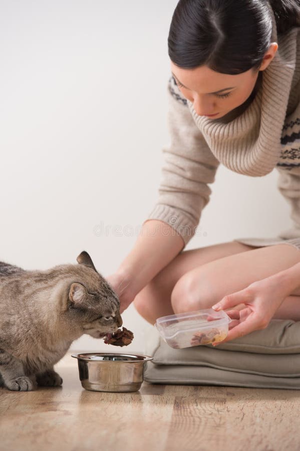 Härlig ung kvinna och hennes katt arkivbilder Härlig ung kvinna och hennes katt arkivbilder