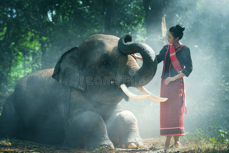 Härlig ung thailändsk kvinnanordoststil är att tycka om att dansa och att spela med elefanten i djungeln
