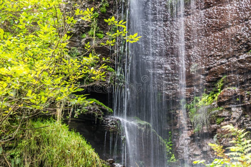 Härlig, unik kristallklar liten vattenfall i Transylvania, Rumänien royaltyfri bild Härlig, unik kristallklar liten vattenfall i Transylvania, Rumänien royaltyfri bild
