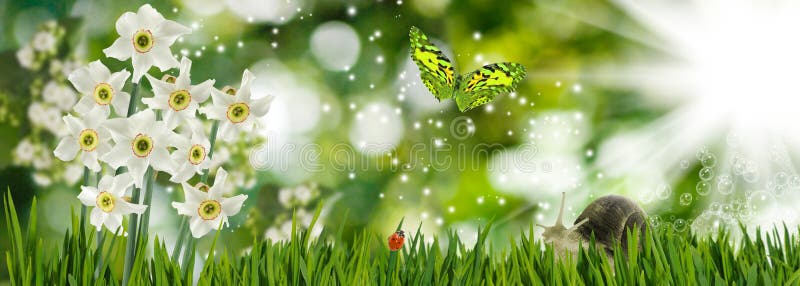 härliga blommor, fjäril och snigel i det trädgårds- slutet upp arkivbilder härliga blommor, fjäril och snigel i det trädgårds- slutet upp arkivbilder