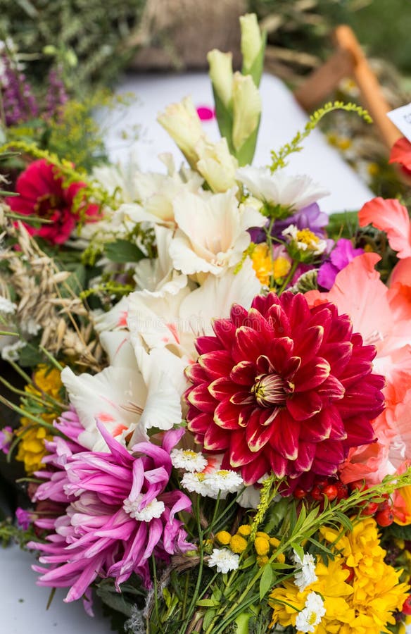 härliga buketter från blommor och örter arkivfoto härliga buketter från blommor och örter arkivfoto