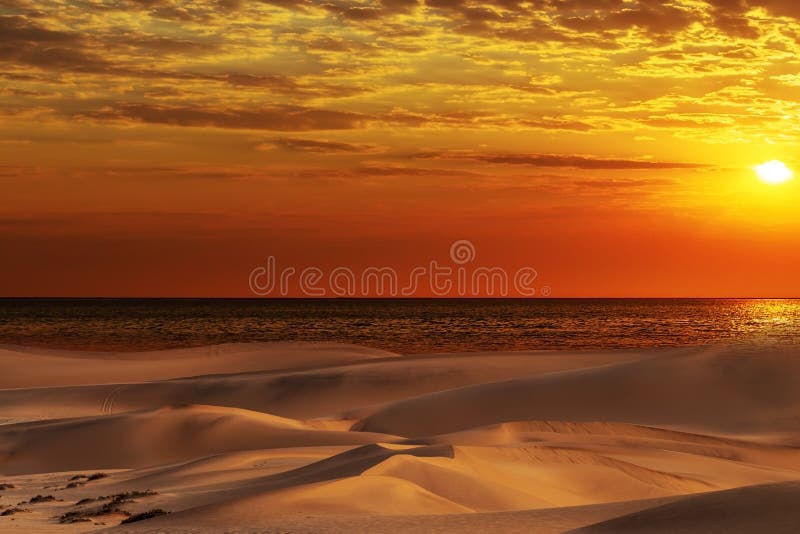 Härliga dyn, hav och röd solnedgång i den Namib öknen arkivbilder Härliga dyn, hav och röd solnedgång i den Namib öknen arkivbilder