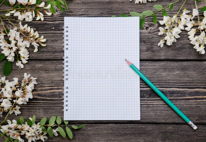 Härliga filialer och notepad för vårakaciablomning arkivbild Härliga filialer och notepad för vårakaciablomning arkivbild