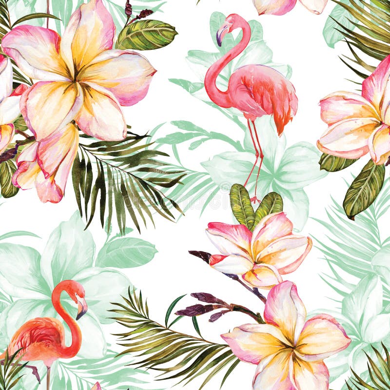 Härliga flamingo- och rosa färgplumeriablommor på vit bakgrund Exotisk tropisk sömlös modell Watecolor målning stock illustrationer