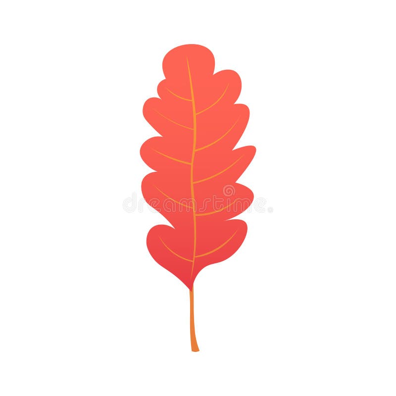 Härliga färgglada höstleaves för samling som isoleras på vit bakgrund illustration vektor illustrationer Härliga färgglada höstleaves för samling som isoleras på vit bakgrund illustration vektor illustrationer