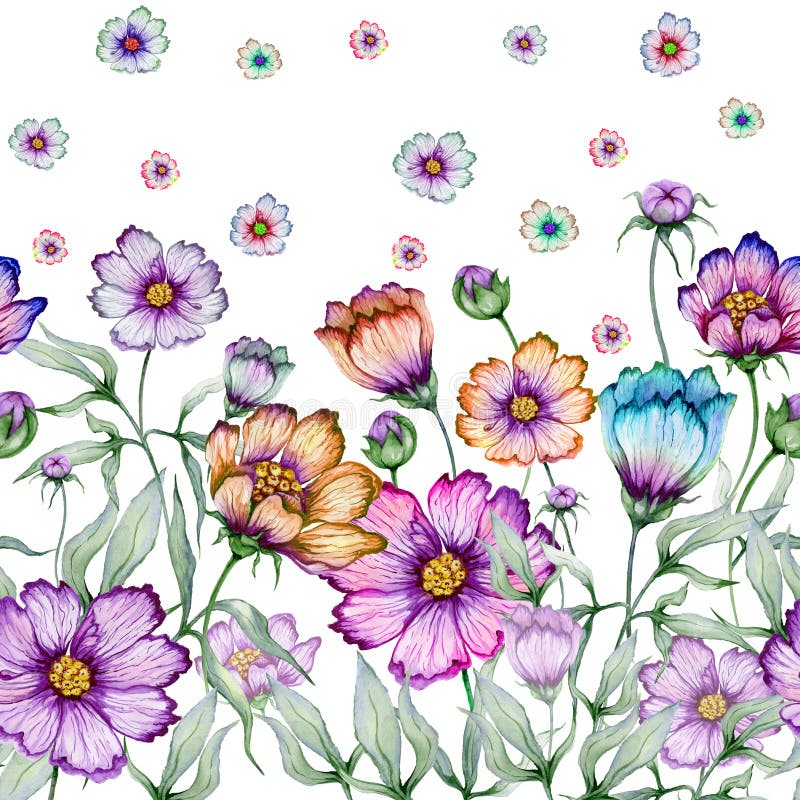 Härliga kosmosblommor med gröna sidor på vit bakgrund seamless blom- modell för Adobekorrigeringar hög för målning för photoshop royaltyfri illustrationer