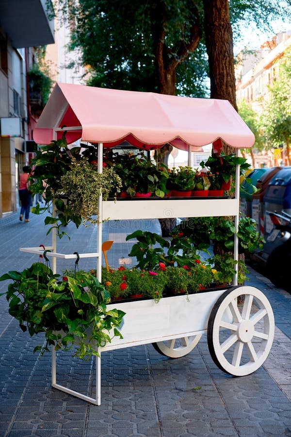 Härliga snittblommor sålde på utomhus- blomsterhandel i Barcelona, Spanien arkivfoto Härliga snittblommor sålde på utomhus- blomsterhandel i Barcelona, Spanien arkivfoto